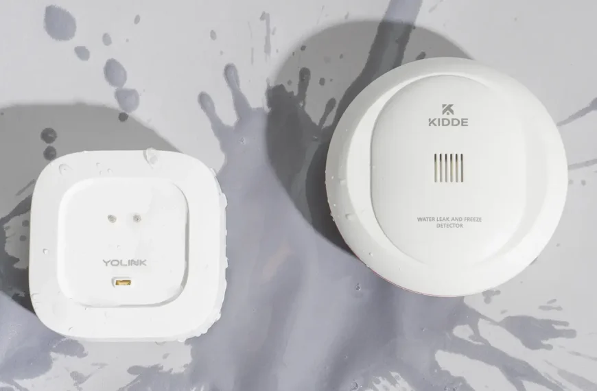 Smart Leak Detectors: Do You Really Need One?